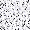 Miyuki 402 Opaque White - Beading Amazing